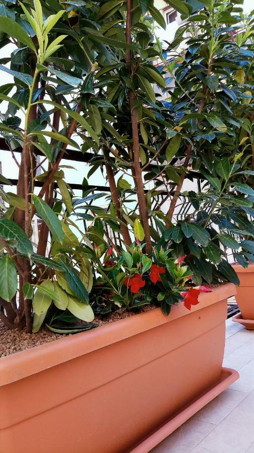 B&B Malaga Salerno Exteriér fotografie